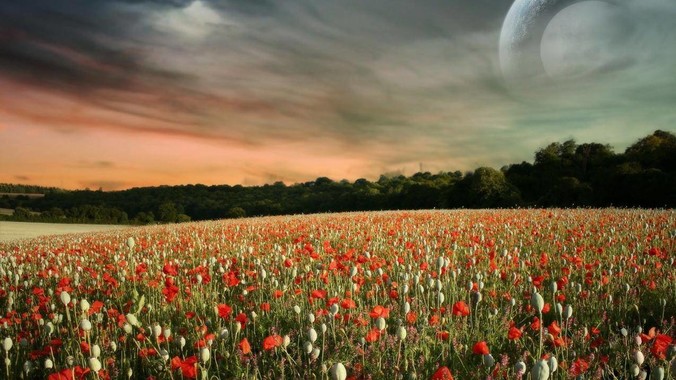 小鹏G7预售价23.58万，何小鹏称其为「全球首款L3级算力的AI汽车」，何为L3级算力？竞争力如何？